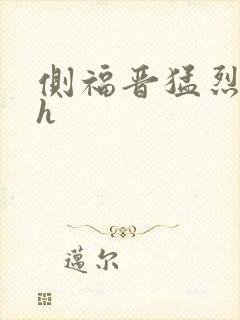 侧福晋猛烈顶弄h