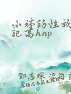 小婷的性放荡日记高hnp