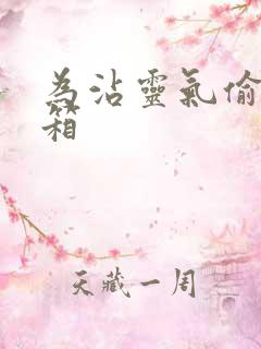 为沾灵气偷功德箱