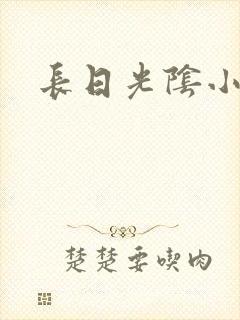长日光阴小说