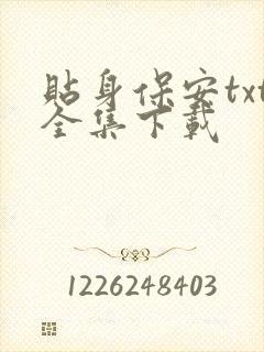 贴身保安txt全集下载