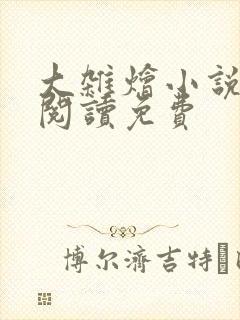 大杂烩小说全集阅读免费