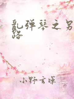 乱弹琴之另一条路