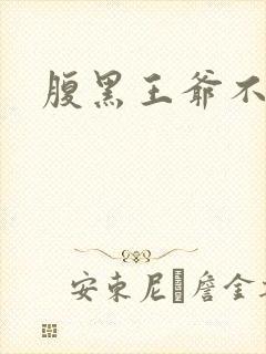 腹黑王爷不良妻