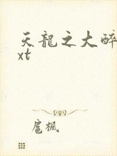 天龙之大醉侠txt