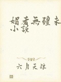 媚者无疆未删减小说