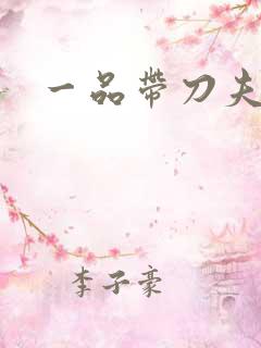 一品带刀夫人