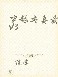 穿越共妻黄暴1V3