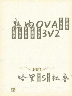 熟肉OVAちゃんはしたい3V2