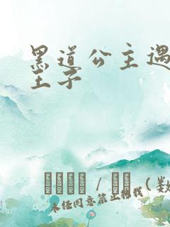 黑道公主遇冷酷王子