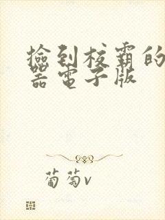 捡到校霸的遥控器电子版