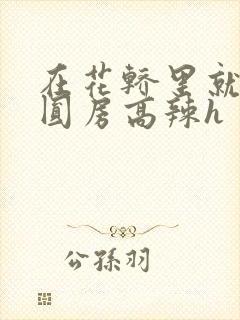 在花轿里就开始圆房高辣h