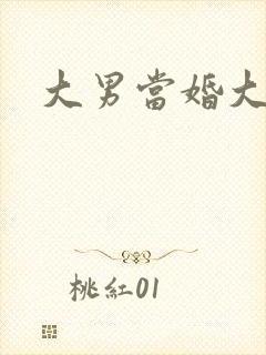 大男当婚大结局
