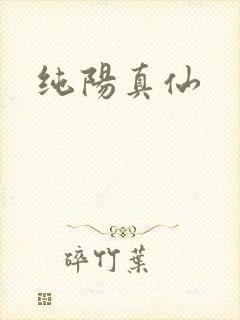 纯阳真仙