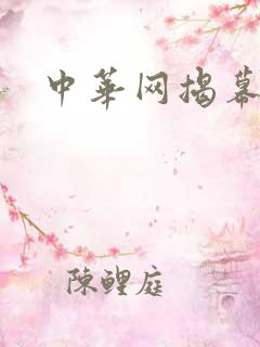 中华网揭幕内参