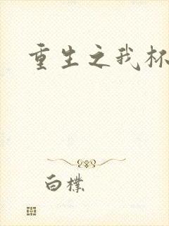 重生之我杯具了