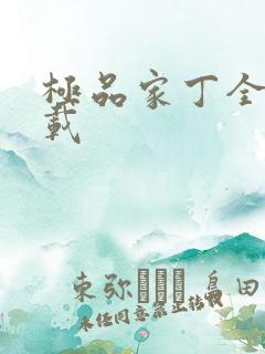 极品家丁全集下载