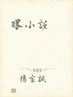 眼小说