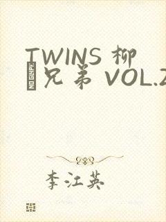 TWINS 柳澤兄弟 VOL.2