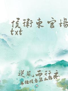 侯卫东官场笔记txt