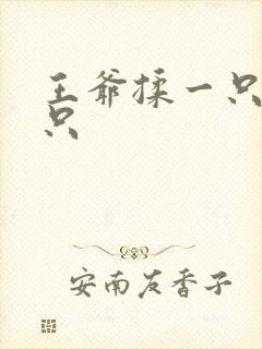 王爷揉一只舔一只