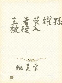 王者荣耀孙尚香被后入