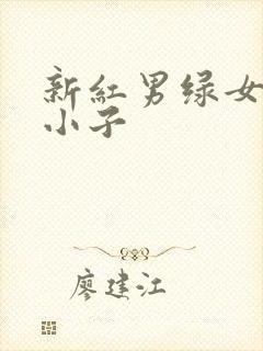 新红男绿女之坏小子