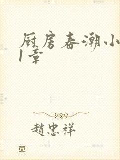 厨房春潮小说第1章