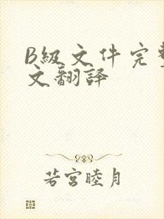 B级文件完整中文翻译