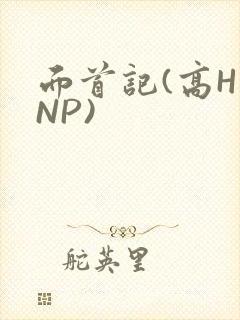 面首记(高H NP)