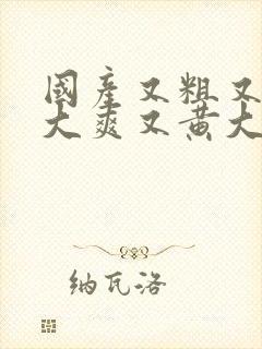 国产又粗又猛又大爽又黄大爷