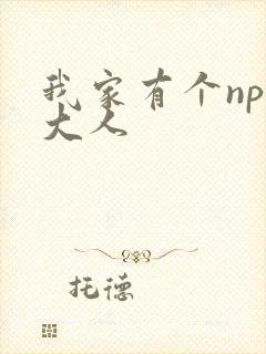 我家有个npc大人