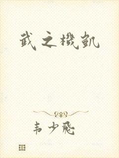 武之机凯