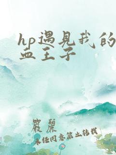 hp遇见我的混血王子