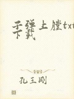 子弹上膛txt下载