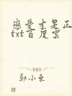 恋爱才是正经事txt百度云