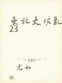 东北大坑乱1—23