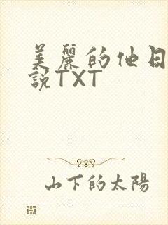 美丽的他日剧小说TXT