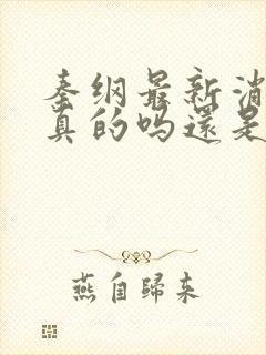 秦纲最新消息是真的吗还是假的