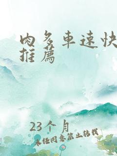 肉多车速快的书推荐