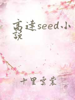 高达seed小说