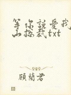 等你说爱我之冰山总裁txt