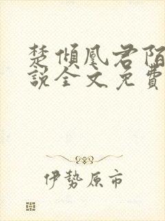 楚倾凰君陌尘小说全文免费阅读