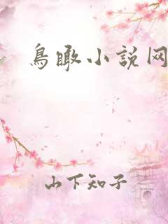鸟瞰小说网