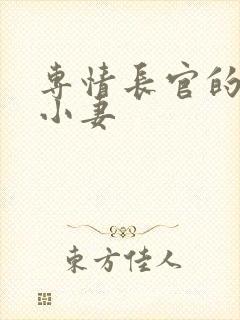 专情长官的天价小妻