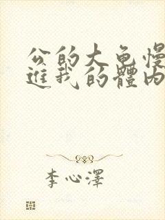 公的大龟慢慢挺进我的体内