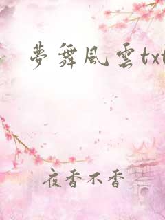 梦舞风云txt