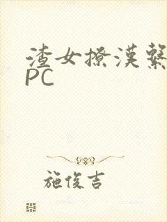 渣女撩汉系统NPC