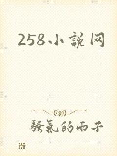 258小说网
