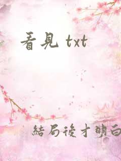 看见 txt